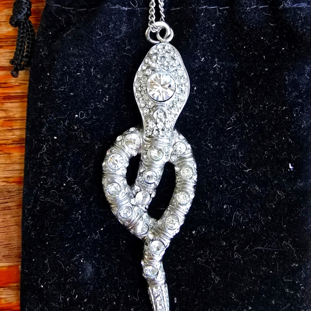 A beautiful silver and crystal CHANEL snake necklace!